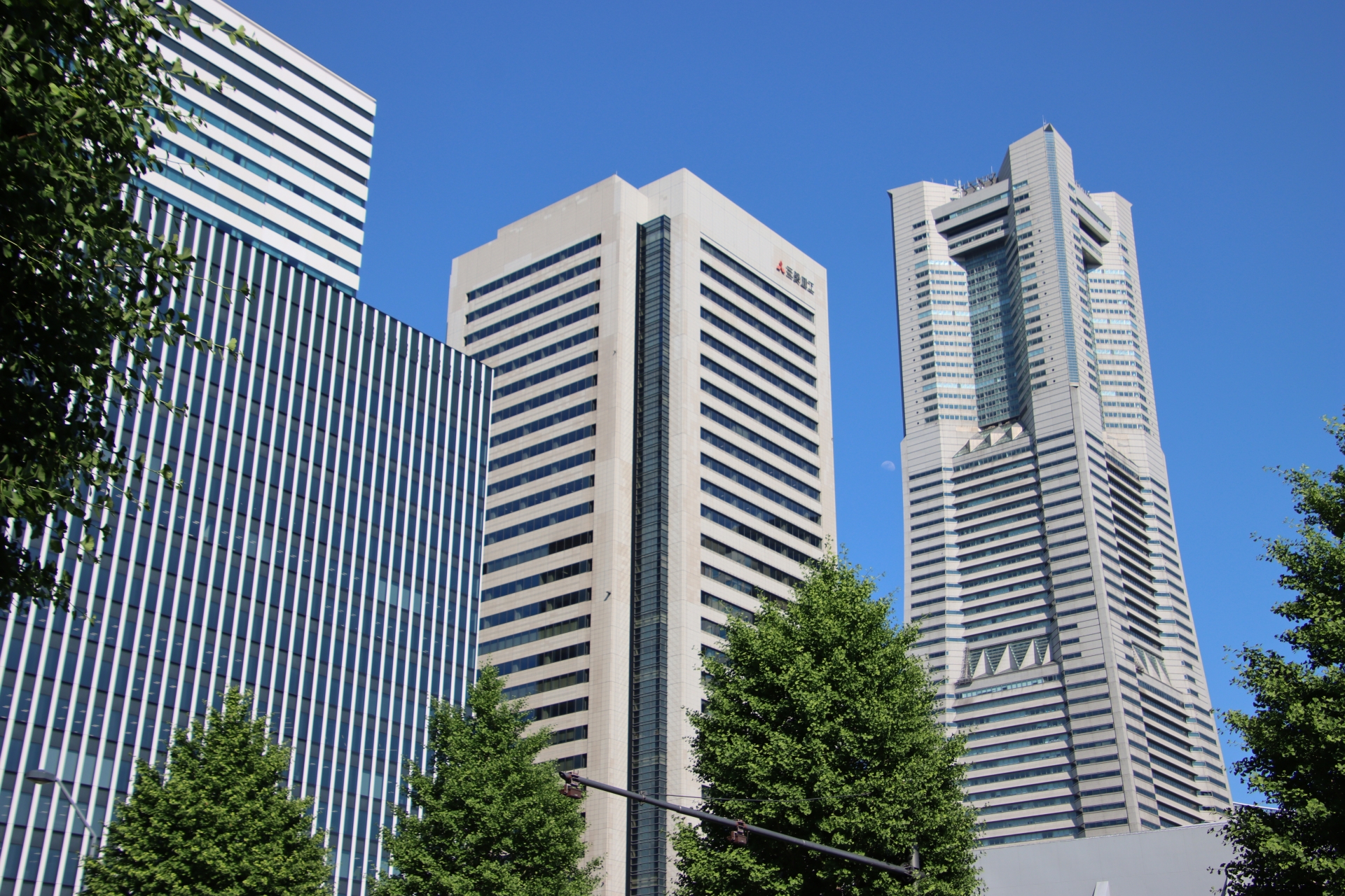 Analytics Dashboard showing growth charts